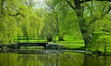 形容对亲情失望的句子