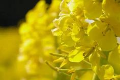 10.它不会使我们兴奋,但会使我们安静。