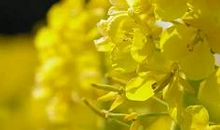 亲情陪伴温暖句子