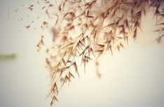 11.失望会削弱对你的爱，但结果却是绝望。