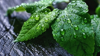 12.生活就像一首歌，家庭之爱在配音。