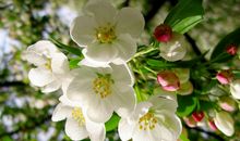 关于心情压抑不开心的句子