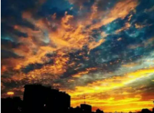 9.你对我太好了，但是如果你想让我像你一样爱你，我就做不到。这样的奉献只会使我承受太大压力。我很努力，放手！