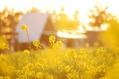 11.孩子是母亲生活的基础。 -Sophocles