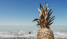 形容文艺的亲情的句子