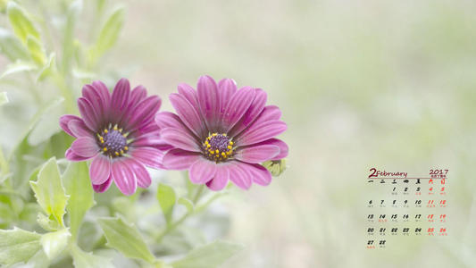 12.踏入知识的海洋,快乐地冲浪;走进智慧教室,交流思想;沐浴在青春的阳光下,健康成长;吸收果冻,滋养精神;来到美丽的校园,让梦想成真。学校的日子到了,希望您在校园里过得愉快。