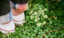 形容后悔却又不想表现出来的句子