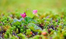 关于亲情家庭和睦的句子