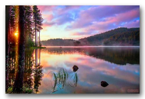 11.小明:兄弟,我出了车祸,我急需很多钱。伙计们:谁是TMD事故的驾驶员?什么车?小明:我的妻子,购物车。