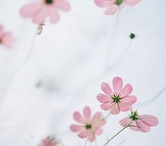 10.双11广告势不可挡。作为一个穷人,他决定将自己的名字改名为“东方买”,以表达自己的志向。 11月9日是“ 119”,11月10日是“ 110”,11月11日被称为“砍手节”。如果一起看,这三天的风险相对较高:防火,防盗和防浪少女!