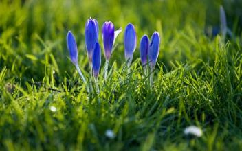 11，亲情，艳丽的花朵，充满香气，浸透人心；感情，晶莹的露珠，美丽而纯洁，引人入胜的爱与怜悯；情意，明月，幽静，柔美！