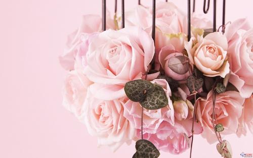 10.家庭感情是一把向后倾斜的吉他。爱越深，爱就越能打动你的心弦。家人的感情是悬空的藤蔓，无论您身在何处，它总是紧紧握住你的手。