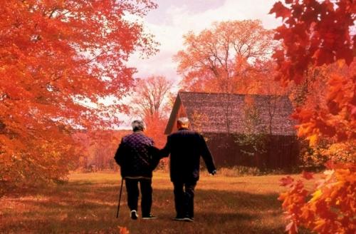 11.作为一个有抱负的少年，如果您不想在“裸体婚姻时代”下过“蜗牛屋”这样的生活，则必须努力“奋斗”和“把爱贯穿到底”，之后不要后悔“死亡之死”。