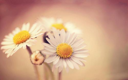 10.世界太大了，生命却很短暂。尝试按照自己的意愿生活。