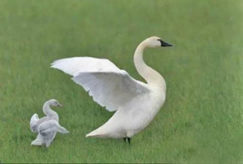 10.不要太努力思考，因为有时候，当您无法想到时就会发生好事。