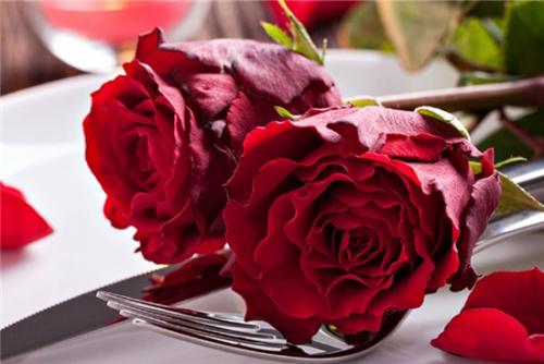 11.对我来说，只剩下三件事了。如果您想从轻到重安排它们，我想应该是这样的：我爱你，爱你，你。