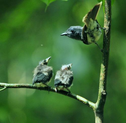 11.一切总是不尽人意。您越成长，您就越孤独。这句话是对的。年轻时，您可以无忧无虑。长大后，您会经历更多的事情。我见过很多人，有很多东西。多么可怕的家庭关系，如此可怕的成长，嘿，有人知道自己有多困难，像婴儿一样行为有多困难，一切都如此困难