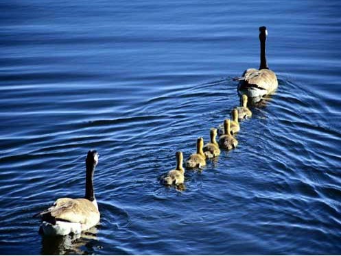 12.时间可以告诉一个人很多意想不到的事情，例如所谓的家庭冷漠和朋友的无情。对于所谓的利益至上，您可以做任何您想做的事情。不会照顾一些家庭，友谊，爱情。