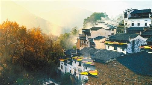 12.在我的家中，如果我要用文字来描述它，我突然发现这是不可能写的。不是说没有什么可写的，而是有太多的东西可以写，也没有地方可以写。