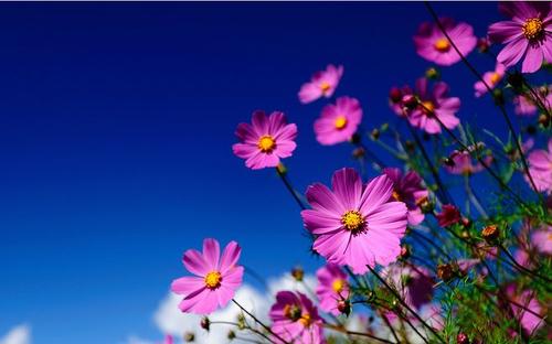 11.很遗憾，没有听到一些故事，例如我们。