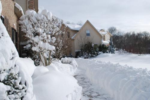 形容大学的句子