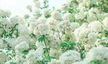 感受亲情感人的句子