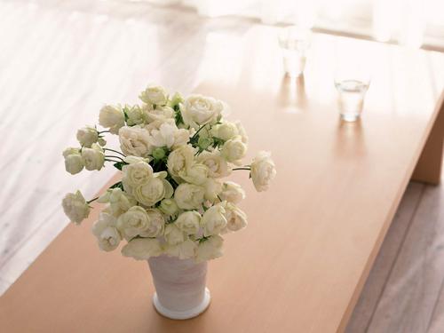 12.为什么他们需要在新闻网络之后组织事情？那是为了证明他们吹牛和吃水。