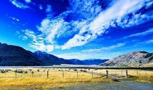 离婚不后悔的句子