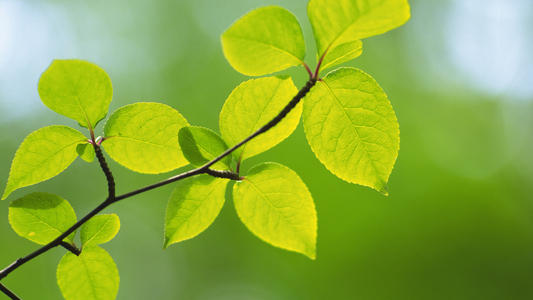 10沐浴在家庭关爱中，我得到了无数的爱和宽容。到现在为止，我以前的快乐经历仍然保存在我的记忆宝箱中。家庭之情是晴朗的天空，永远不会被云层覆盖，永远不会裁员。