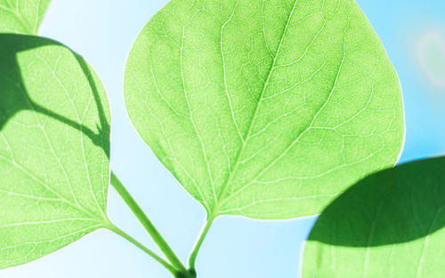 9。家庭感情可以使人们无私奉献一切。家庭感情可以使人温暖；在世界上成千上万的动人故事中可以找到家庭的情感。