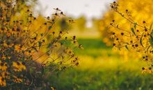 做了决定就不要后悔的句子