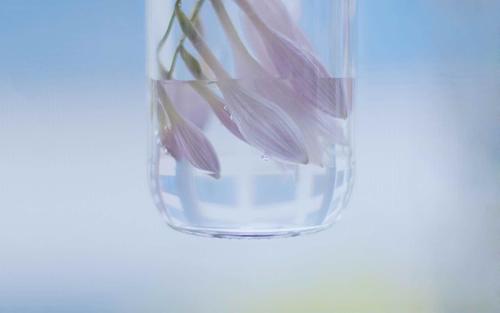 10.从现在开始,你像花和美丽的家庭一样与你在一起,但我只剩下像水一样走来走去。