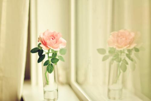 10.让天空疯狂地嘲笑我，任明月疯狂地嘲笑我，渴望可以打破我的肠胃；与洛花醉，与明月同行，全心全意爱你。