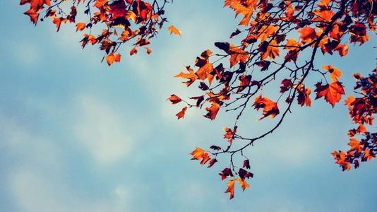 12.直到一天之前，我们一直看不到方向，只是微微抬起头，一束柔和的光线引导我们迈出了坚实的一步。