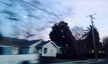 对自己选择后悔的句子