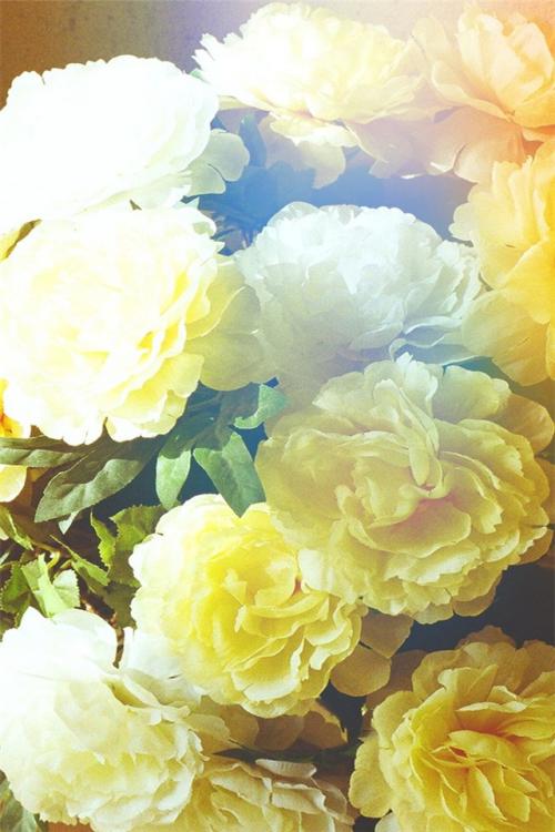 11.一般规则是，所有上级男人都从母亲那里继承上级元素。所有的高级男人通常都从母亲那里继承高级元素。