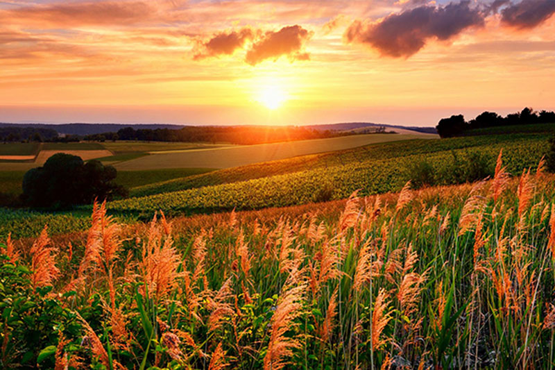 10.今天是儿童节。为了庆祝您的假期，我特别允许您在泥泞，流口水，裤子上撒尿，还有房子玩耍，但是请记住，您必须听我的话。祝您假期快乐。