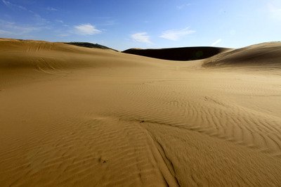 11.太阳慢慢升起，微风轻拂。花开了，喜chi鸣叫。当您睁开眼睛时，世界的美丽就赋予了您。当庆阳的警报响起时，会向您祝福。早上好！