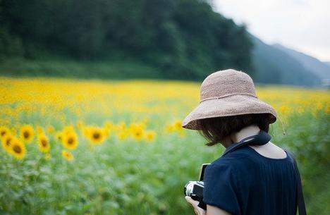 对我自己的审美句子