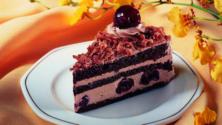 11.粉色蛋糕来自大自然的明亮和新鲜的粉色,涂抹在可爱的花朵上,明亮的蝴蝶轻轻地停下来。不是童话,而是比童话更好的故事。讨好口味的艺术已得到充分发挥。