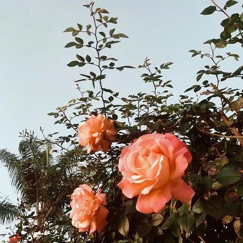 10.力量总是决定您在家庭关系中的地位!您只能随时相信自己。