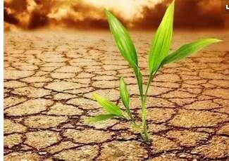 关于土壤的句子1