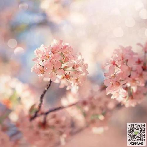 您可以从父母那里学习爱，笑和散步。