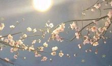 认真对待生活开心的句子