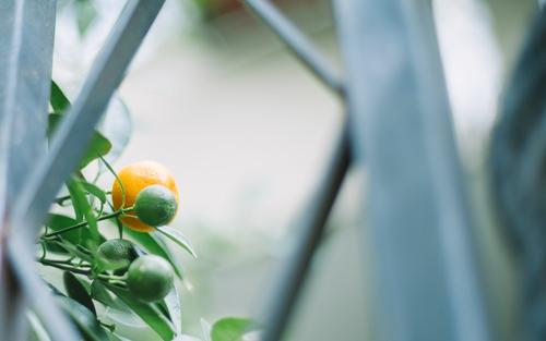 11.从父母那里，您将学到爱与笑，以及如何将一只脚放在另一只脚上。