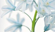 形容亲情心累失望的句子