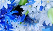 亲情血浓于水的句子