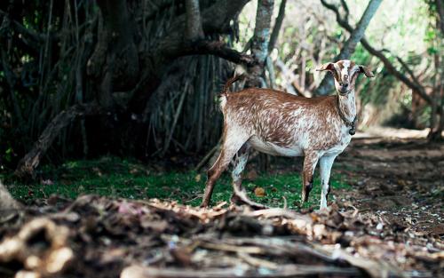 11.谢谢，这是我有过的最快乐的生日。