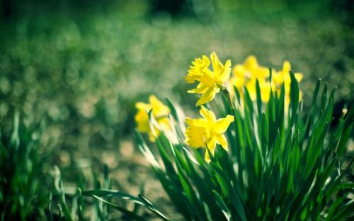 11.父亲是宝贝，兄弟是安慰，而朋友则是两者。