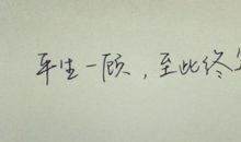 遇见你不曾后悔的句子